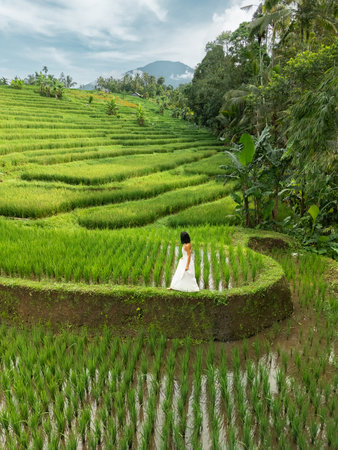 Traveler In White Dress Standing Amid Lush Subak Rice Terraces And Mountainsの写真素材