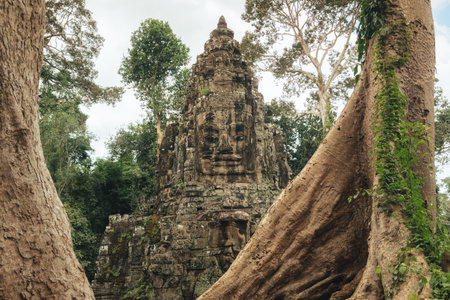 Bayon Temple Stone Face Viewed Through Massive Jungle Trees In Cambodia