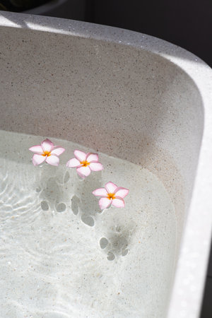 Minimalist Spa Scene With Pink Plumeria Flowers Floating In Light Bathtubの写真素材