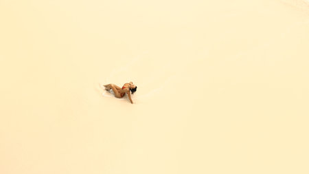 Minimal Aerial View Of Woman Relaxing On Soft Sandy Tropical Beachの写真素材