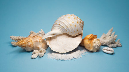 Sea Salt Spill In Conch Shell Still Life On Blue Background, Studioの写真素材