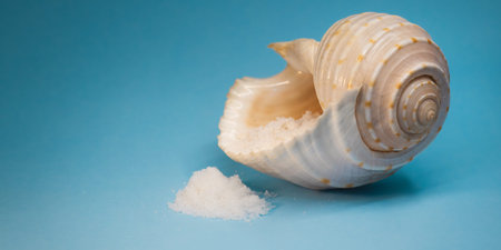 Sea Salt In Shell Still Life With Conch And Copy Space On Blue Backdropの写真素材