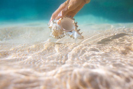 Hand Holding Murex Shell Underwater on Sandy Seabed