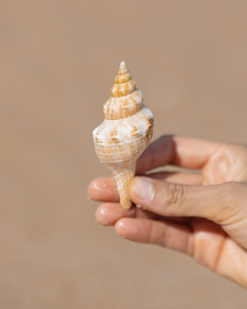 Spiral Sea Shell Held in Hand Minimal Beach Portrait