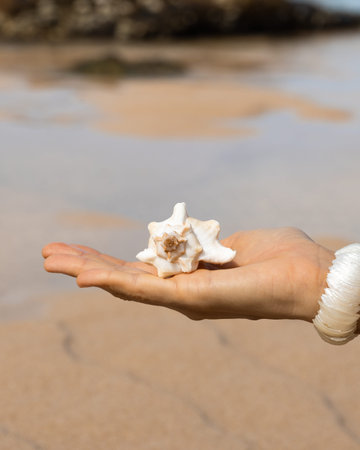 Hand Holding White Seashell on Beach Shore Close Up