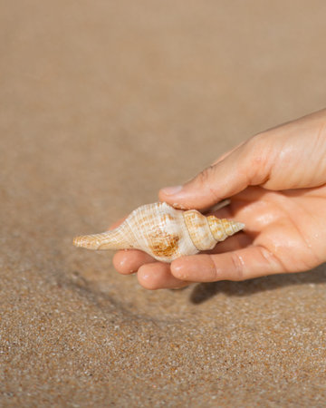 Hand Holding Spiral Seashell on Sandy Beach Close Upの写真素材