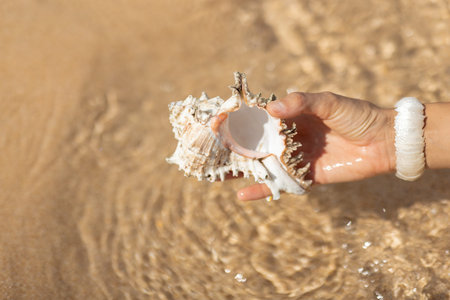 Hand Holding Murex Shell in Shallow Sea Water