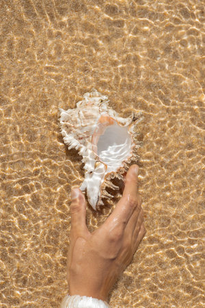 Hand Holding Murex Shell in Shallow Water Top View