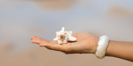 Hand Holding White Seashell On Beach Background With Copy Space, Close Up