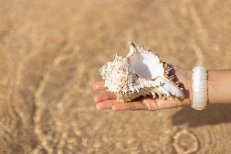 Woman Holding Seashell In Shallow Sea Water Close Up
