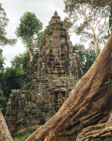 Ancient Bayon Temple Face Tower Framed by Jungle Roots in Cambodia