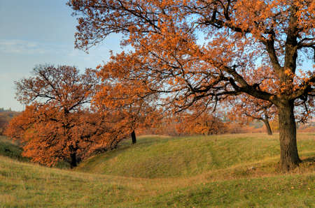 autumn landscapeの写真素材