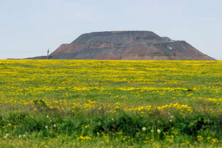 mountain, sky and a field of flowers in the foregroundの写真素材