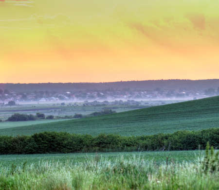 mountains with trees and fogの写真素材