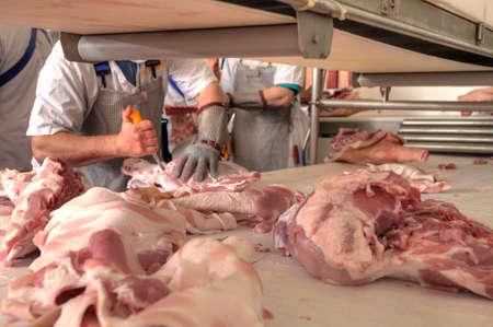 close up of meat processing in food industryの写真素材