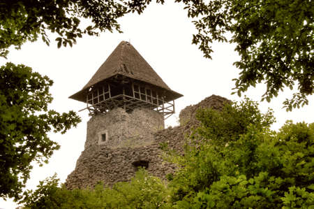 Nevitsky Castle ruins Kamyanitsa village , 12 km north of Uzhgorod, Zakarpattia Oblast, Ukraine Built in 13th centuryのeditorial素材
