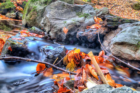 Water on the rocks into the forestの写真素材