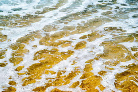 Idyllic wild beach in summertime. Atlantic Ocean, Portugal.