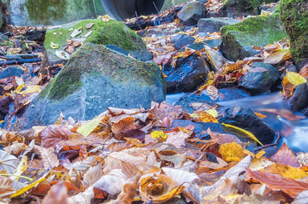 Water on the rocks into the forestの写真素材