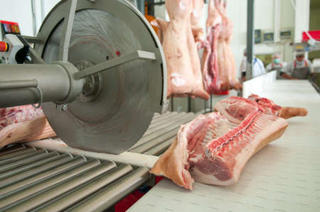 close up of meat processing in food industryの写真素材