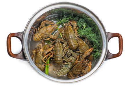 Fresh crayfish in pan, a traditional Russian dishの写真素材