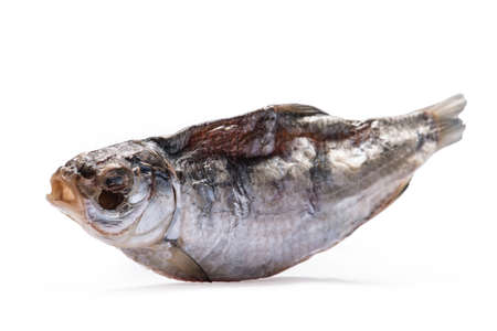 Dried fish allocated on a white backgroundの写真素材