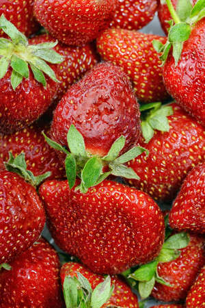 background from freshly harvested sweet strawberriesの写真素材