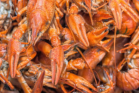 a lot of hot fresh boiled red crawfish