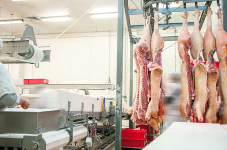 butcher in meat industry interior, factory for production of sausages and other meat products