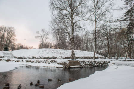 Morning winter landscape on the lake. Priozersk, Russia