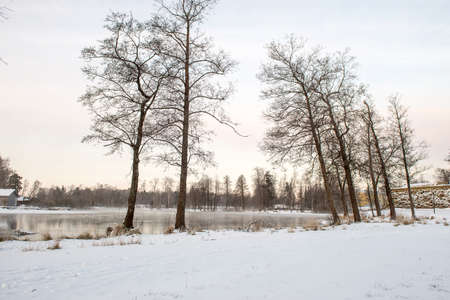 Morning winter landscape on the lake. Priozersk, Russiaの写真素材