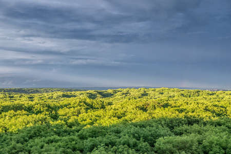Summer sunset from the heights above the forest. Stavropol. Russiaの写真素材