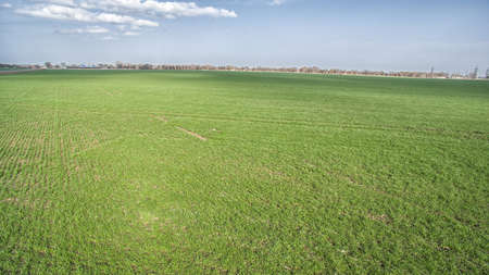 Lines and waves in detail look at the fields in springの写真素材