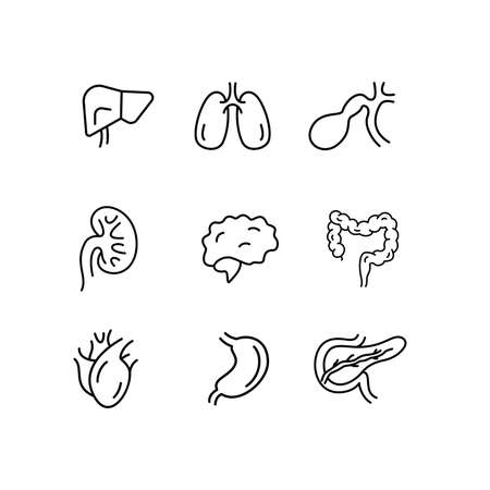 Organ Icon Set vector in minimalist, line art, monoline styleのイラスト素材