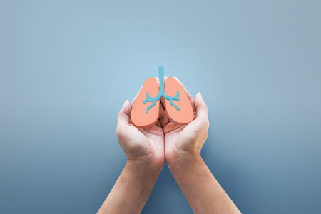 Hand holding human lung icon at background.の写真素材