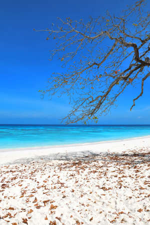 Beautiful sand and beach at Tachai Island, Phang-Nga, Thailandの写真素材