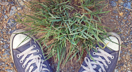 Human And Nature, Blue sneakers from an aerial view, clump of grass between sneakers, Top view, Process in vintage style colorの写真素材