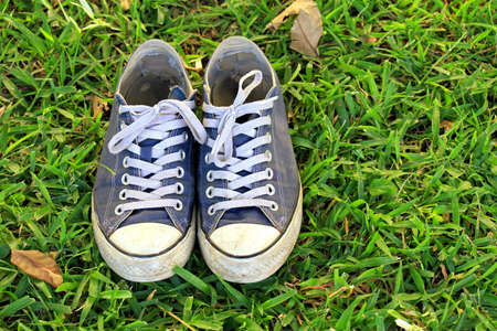 Blue sneakers on green grass の写真素材