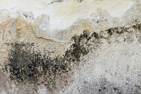 Old dirty wall or grunge background. Texture.の写真素材