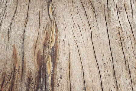 Close-up wooden cut texture with burning frame, texture of tree stump.の写真素材