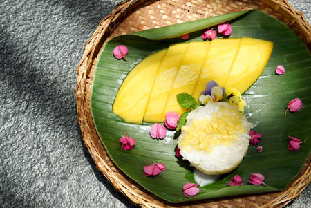 Mango and sticky rice served with coconut milk cream and crunchy beans, Sweet thai style dessert.の写真素材