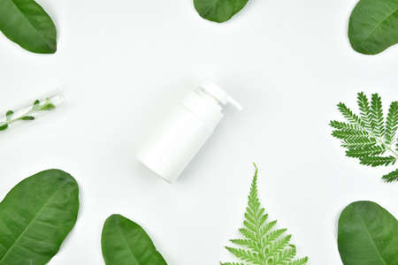 Cosmetic bottle containers with green herbal leaves, Blank label package for branding mock-up, Natural organic beauty product concept.の写真素材