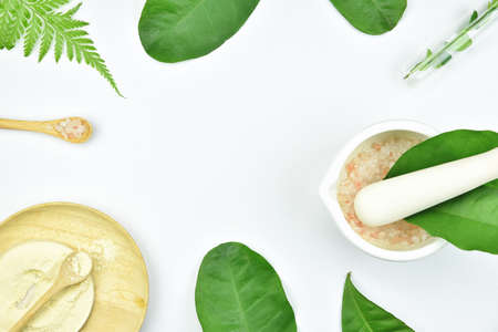 Natural background with copy space for beauty product, Organic beauty cosmetics product concept.の写真素材