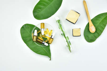 Natural background with copy space for beauty product, Organic beauty cosmetics product concept.の写真素材