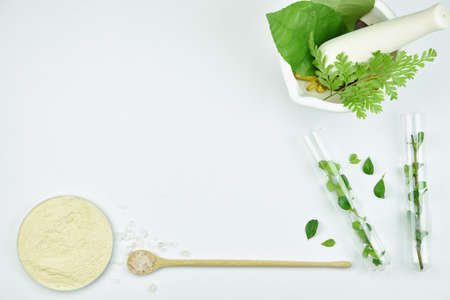 Natural background with copy space for beauty product, Organic beauty cosmetics product concept.の写真素材