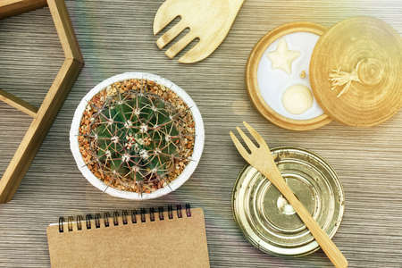 Home decorative objects, Sweet home, Warm and cozy feeling, Cactus and aroma candle. (Lighting...