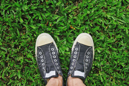 Grey sneakers from an aerial view on green grass, Men shoes, Top view. (New life concept) (Color...