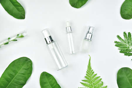 Cosmetic bottle containers with green herbal leaves, Blank label package for branding mock-up, Natural organic beauty product concept.の写真素材