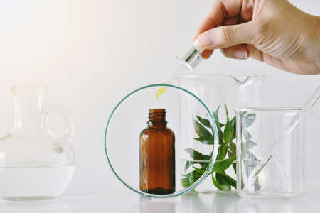 Cosmetic brown bottle containers  and scientific glassware, Focus on oil dropping in blank label package for branding mock-up, Research and develop beauty skincare product concept.の写真素材