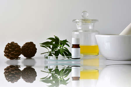 Cosmetic bottle containers with green herbal leaves and scientific glassware, Blank label package...